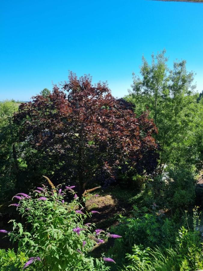 Location Saisonniere Appartement Situe A Saumur Dış mekan fotoğraf
