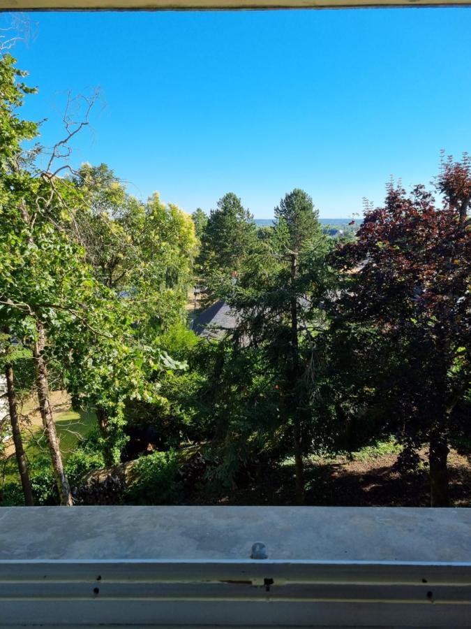 Location Saisonniere Appartement Situe A Saumur Dış mekan fotoğraf